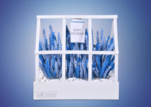 Load image into Gallery viewer, Tiny Nation Gift Voucher + Flower Arrangement (BLOEM)