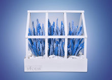 Load image into Gallery viewer, Tiny Nation Gift Voucher + Flower Arrangement (BLOEM)