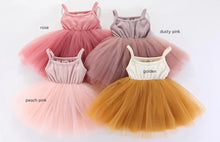 Load image into Gallery viewer, Valentina Tutu Dress