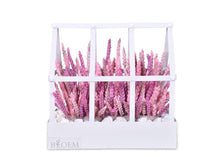 Load image into Gallery viewer, Tiny Nation Gift Voucher + Flower Arrangement (BLOEM)
